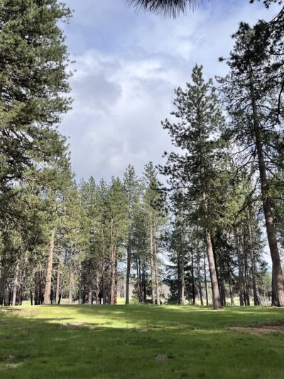 Collier State Park Day Use Area - Chiloquin, OR