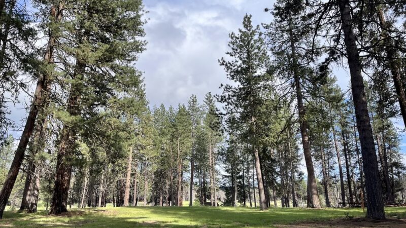 Collier State Park Day Use Area - Chiloquin, OR