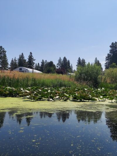 Petric County Park - Chiloquin, OR