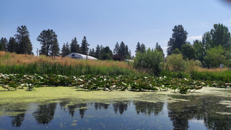 Petric County Park - Chiloquin, OR