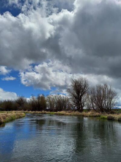 Petric County Park - Chiloquin, OR