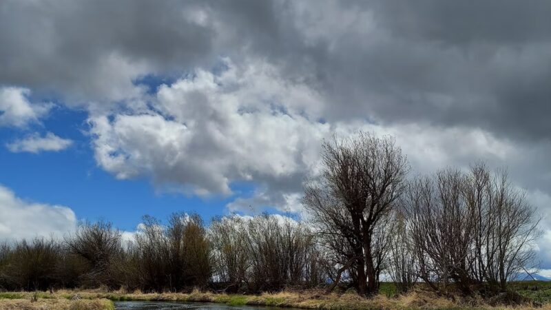 Petric County Park - Chiloquin, OR