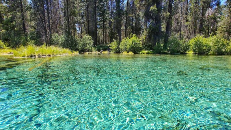 Spring Creek Day Use Area - Chiloquin, OR