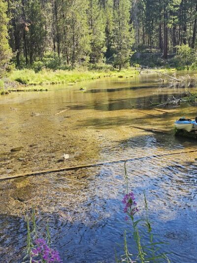 Spring Creek Day Use Area - Chiloquin, OR