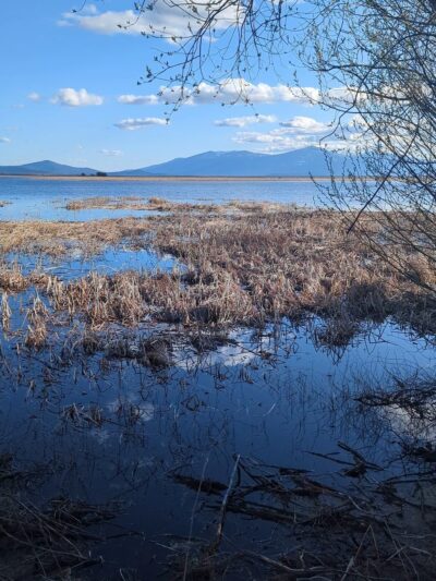 Wood River Wetland - Chiloquin, OR