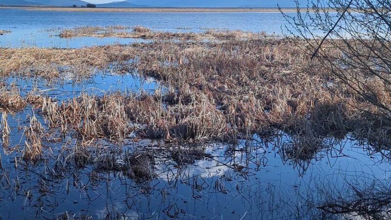 Wood River Wetland - Chiloquin, OR