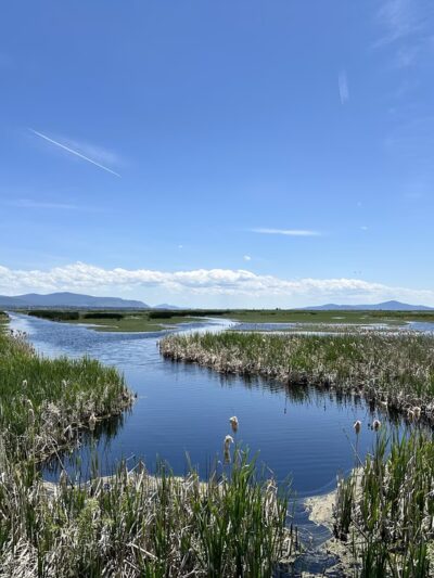 Wood River Wetland - Chiloquin, OR