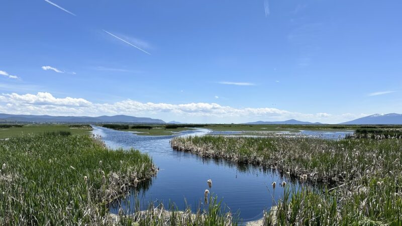Wood River Wetland - Chiloquin, OR