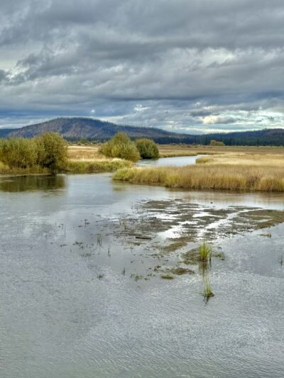 Wood River Wetland - Chiloquin, OR
