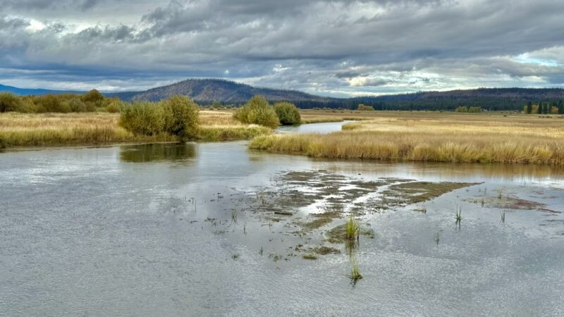 Wood River Wetland - Chiloquin, OR