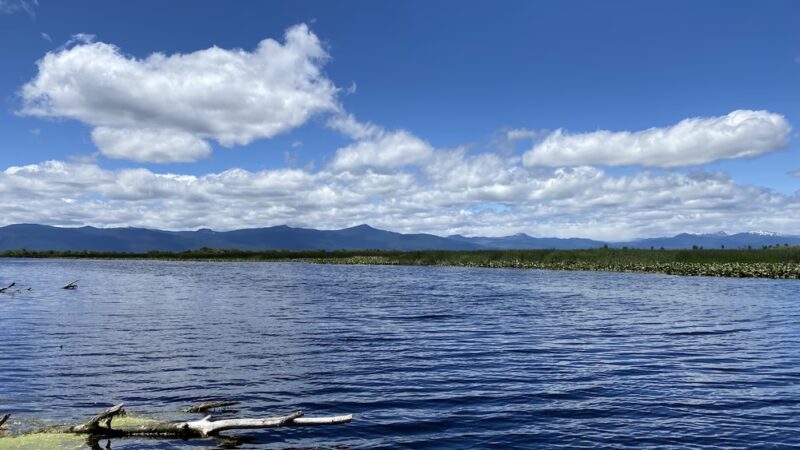 Wood River Wetland - Chiloquin, OR