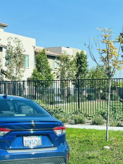 Ivy Dog Park - Chino, CA