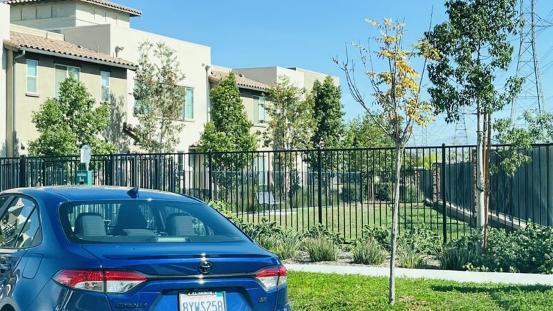 Ivy Dog Park - Chino, CA