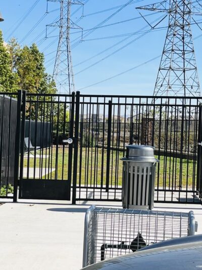 Ivy Dog Park - Chino, CA