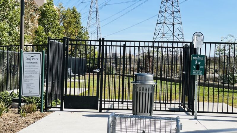 Ivy Dog Park - Chino, CA