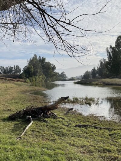 Prado Recreation - Chino, CA