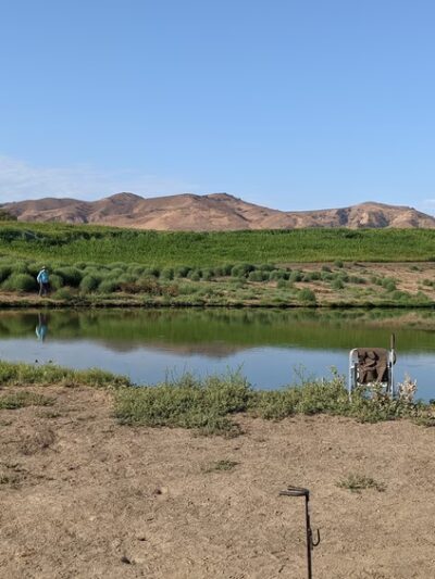 Prado Recreation - Chino, CA