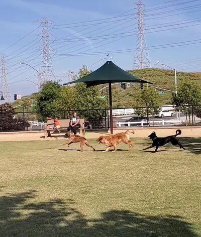 Chino Hills Dog Park - Chino Hills, CA