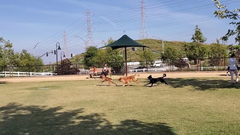 Chino Hills Dog Park - Chino Hills, CA