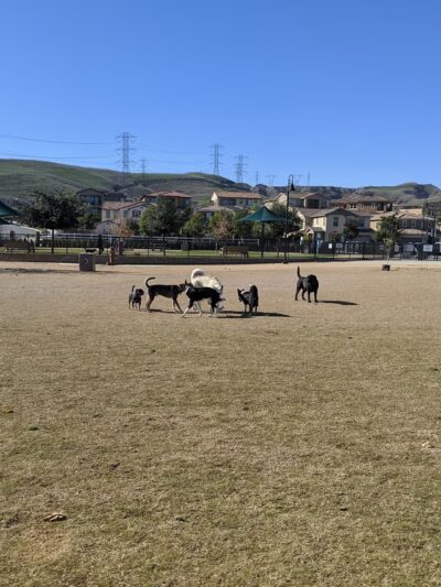 Chino Hills Dog Park - Chino Hills, CA