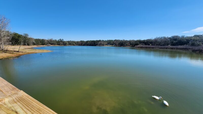 Blue Lake Earl Gilbert Landing - Chipley, FL