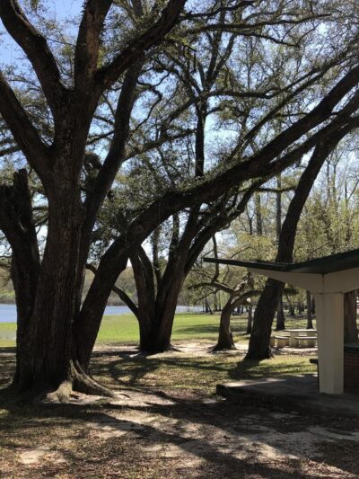 Blue Lake Earl Gilbert Landing - Chipley, FL