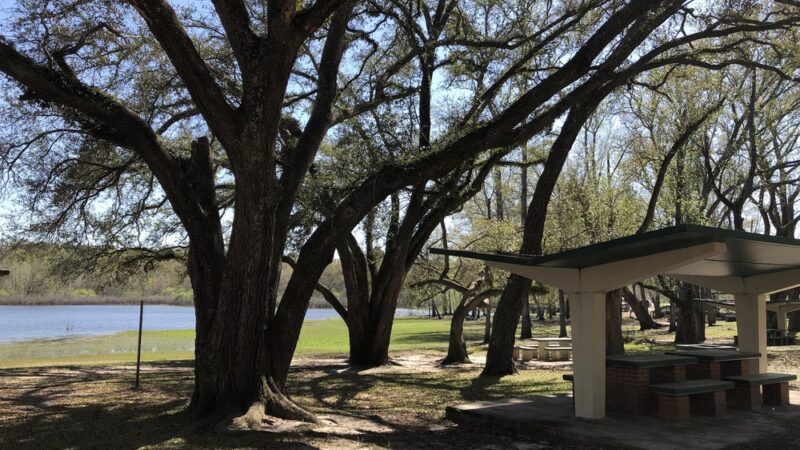 Blue Lake Earl Gilbert Landing - Chipley, FL