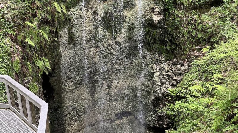 Falling Waters State Park - Chipley, FL