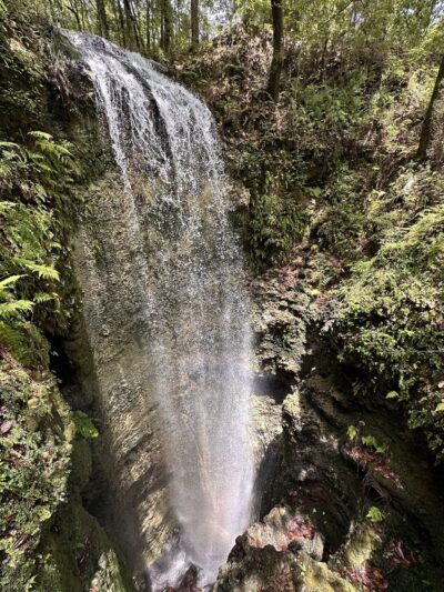 Falling Waters State Park - Chipley, FL