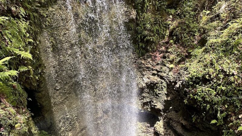 Falling Waters State Park - Chipley, FL