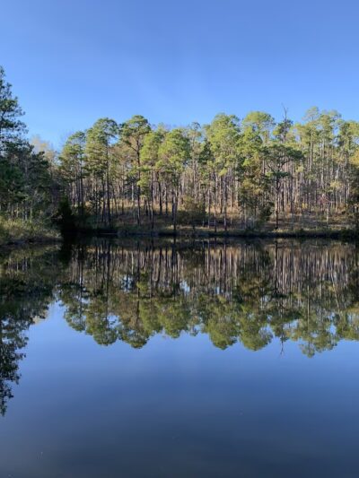 Falling Waters State Park - Chipley, FL