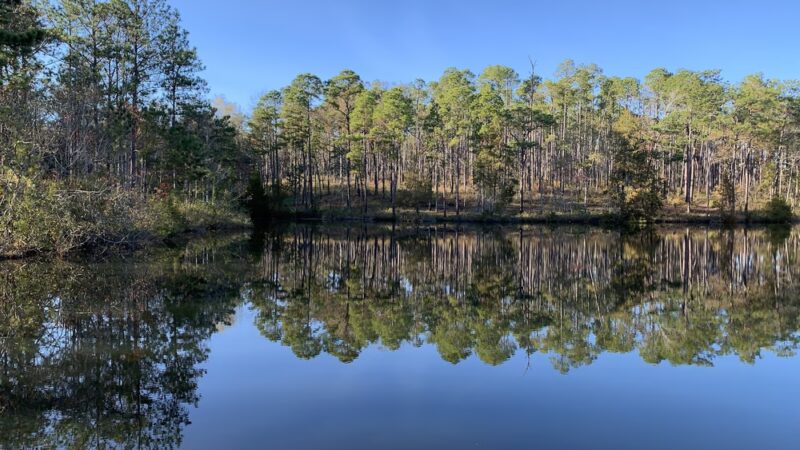 Falling Waters State Park - Chipley, FL