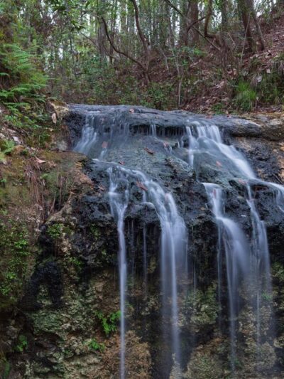 Falling Waters State Park Campground - Chipley, FL