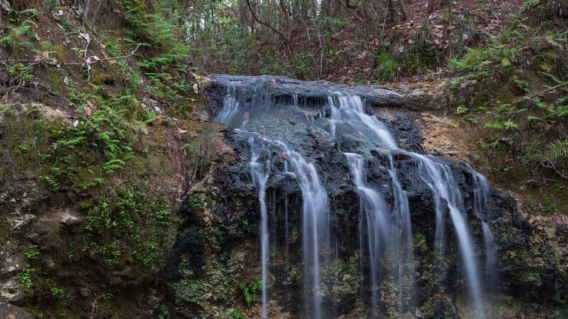 Falling Waters State Park Campground - Chipley, FL