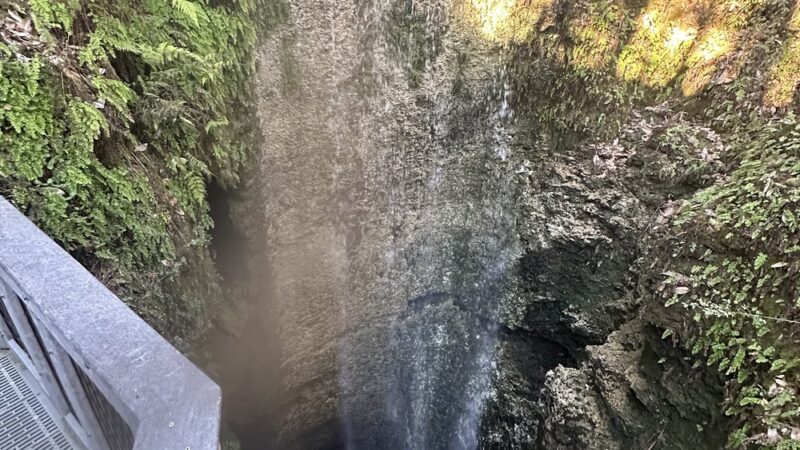 Falling Waters State Park Campground - Chipley, FL