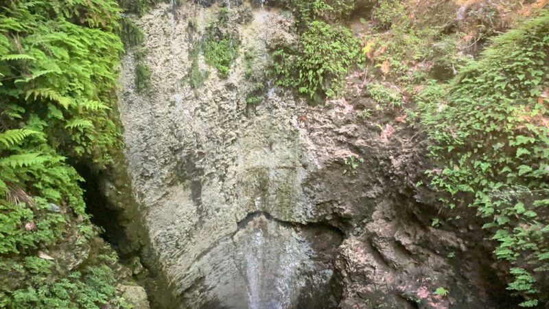Falling Waters State Park Campground - Chipley, FL