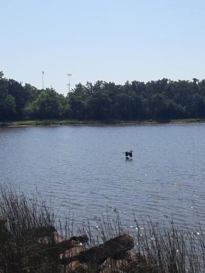 Ten Acre Lake Park - Choctaw, OK