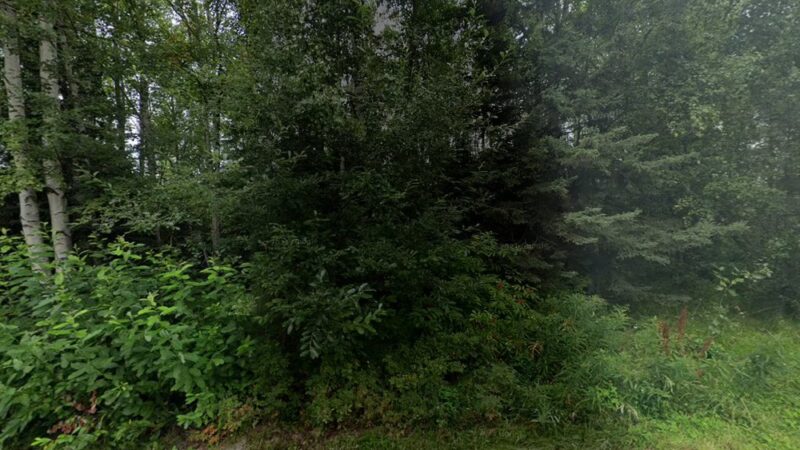 Peter’s Creek Dog Park - Chugiak, AK