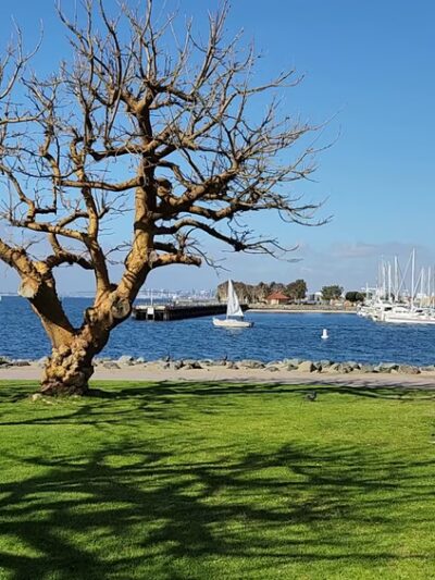 Chula Vista Bayfront Park - Chula Vista, CA
