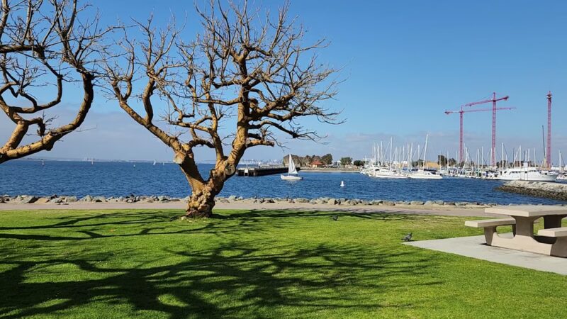 Chula Vista Bayfront Park - Chula Vista, CA