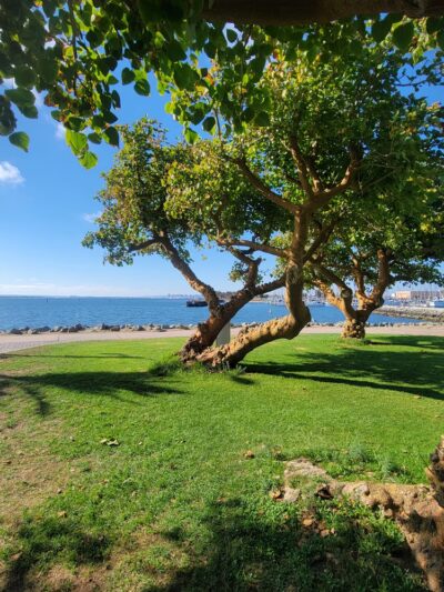 Chula Vista Bayfront Park - Chula Vista, CA