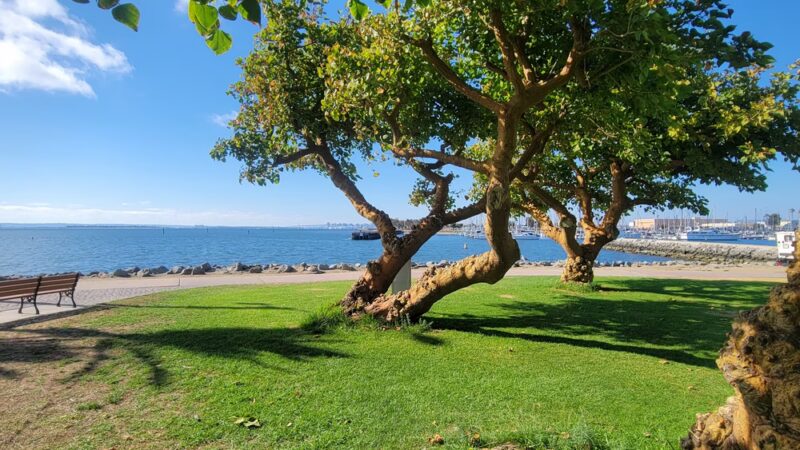 Chula Vista Bayfront Park - Chula Vista, CA