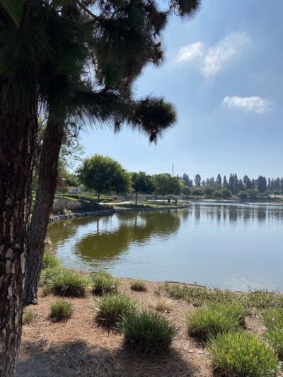 Meadow Park - Chula Vista, CA