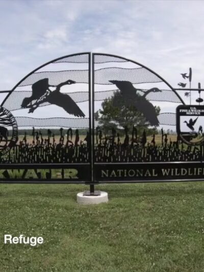 Blackwater National Wildlife Refuge Visitor Center - Church Creek, MD