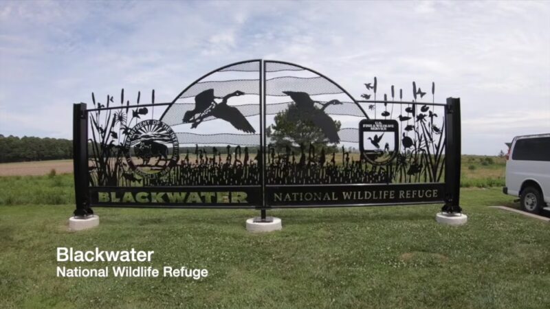 Blackwater National Wildlife Refuge Visitor Center - Church Creek, MD