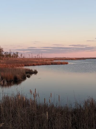 Blackwater National Wildlife Refuge Visitor Center - Church Creek, MD