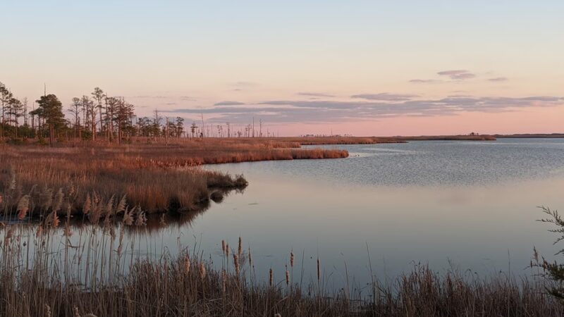 Blackwater National Wildlife Refuge Visitor Center - Church Creek, MD