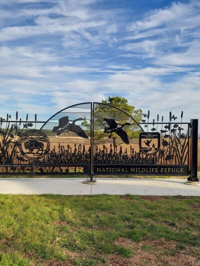 Blackwater National Wildlife Refuge Visitor Center - Church Creek, MD