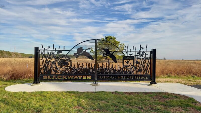 Blackwater National Wildlife Refuge Visitor Center - Church Creek, MD