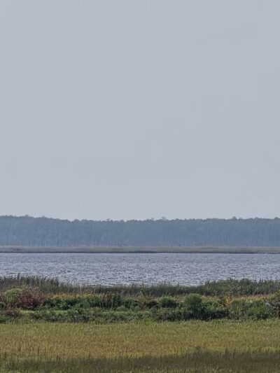 Blackwater National Wildlife Refuge Visitor Center - Church Creek, MD
